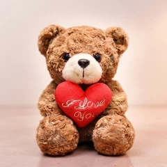 Oso de Peluche ❤️