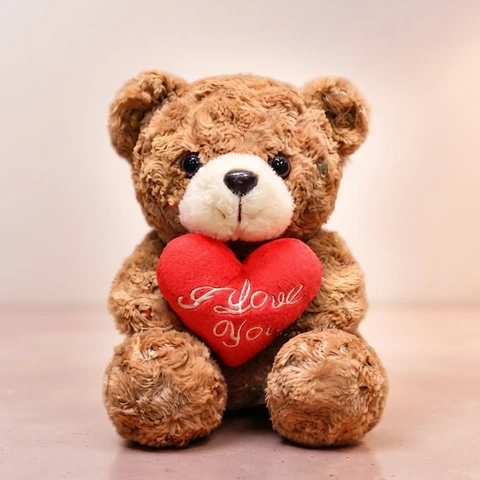 Oso de Peluche ❤️